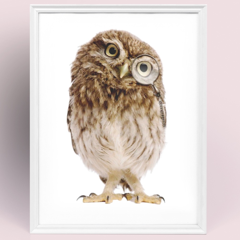Owl Portrait Wall Art Print Poster Unframed - Picture 1 of 9